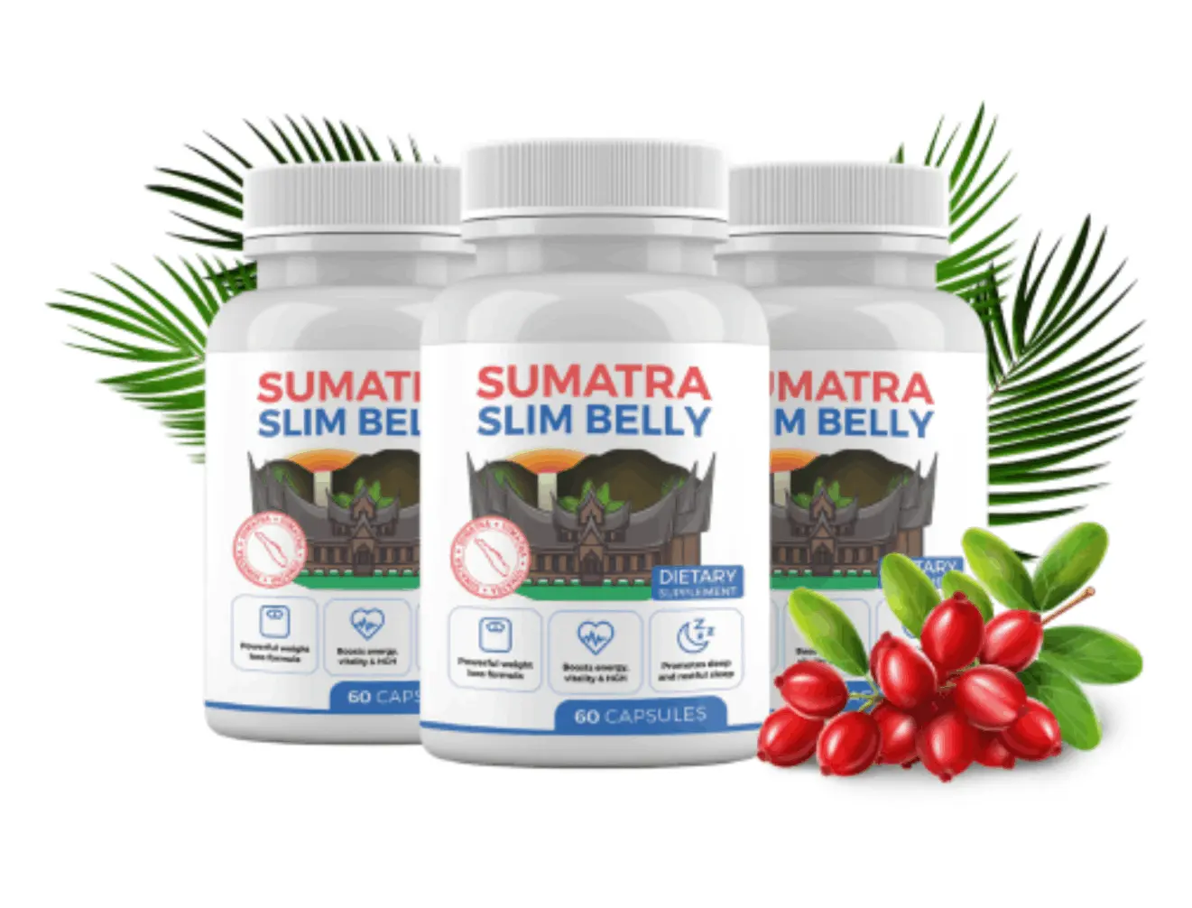 sumatra tonic discount