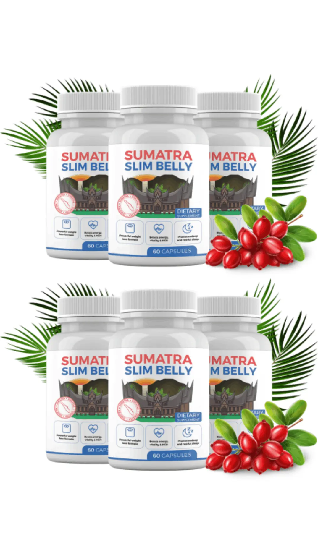 sumatra tonic intro